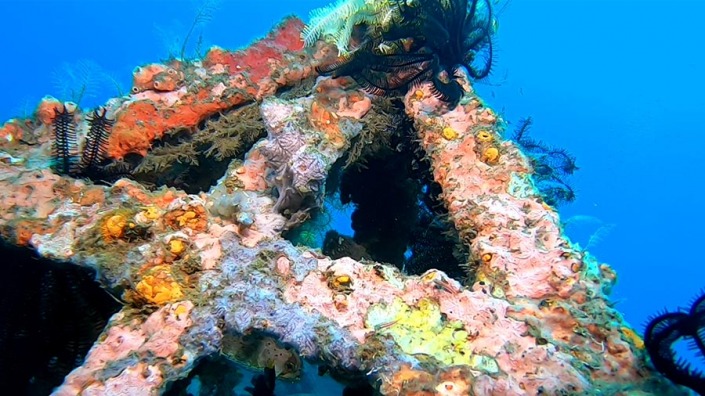 Scuba Diving - Ginama Point
